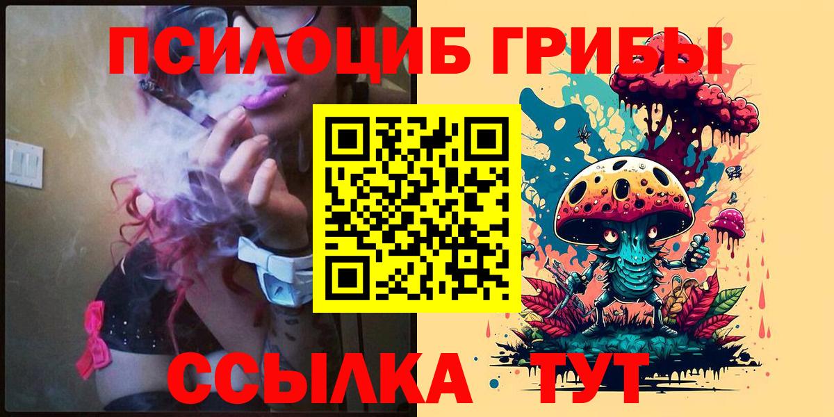 Галлюциногенные грибы прущие грибы Димитровград