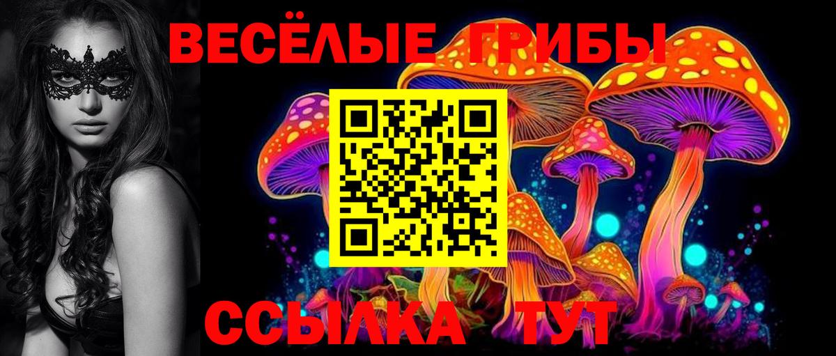 Галлюциногенные грибы Psilocybe  цена наркотик  Димитровград  Вход с VPN  Галлюциногенные грибы прущие грибы 
